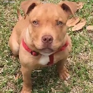 Meet your Posher, Martha